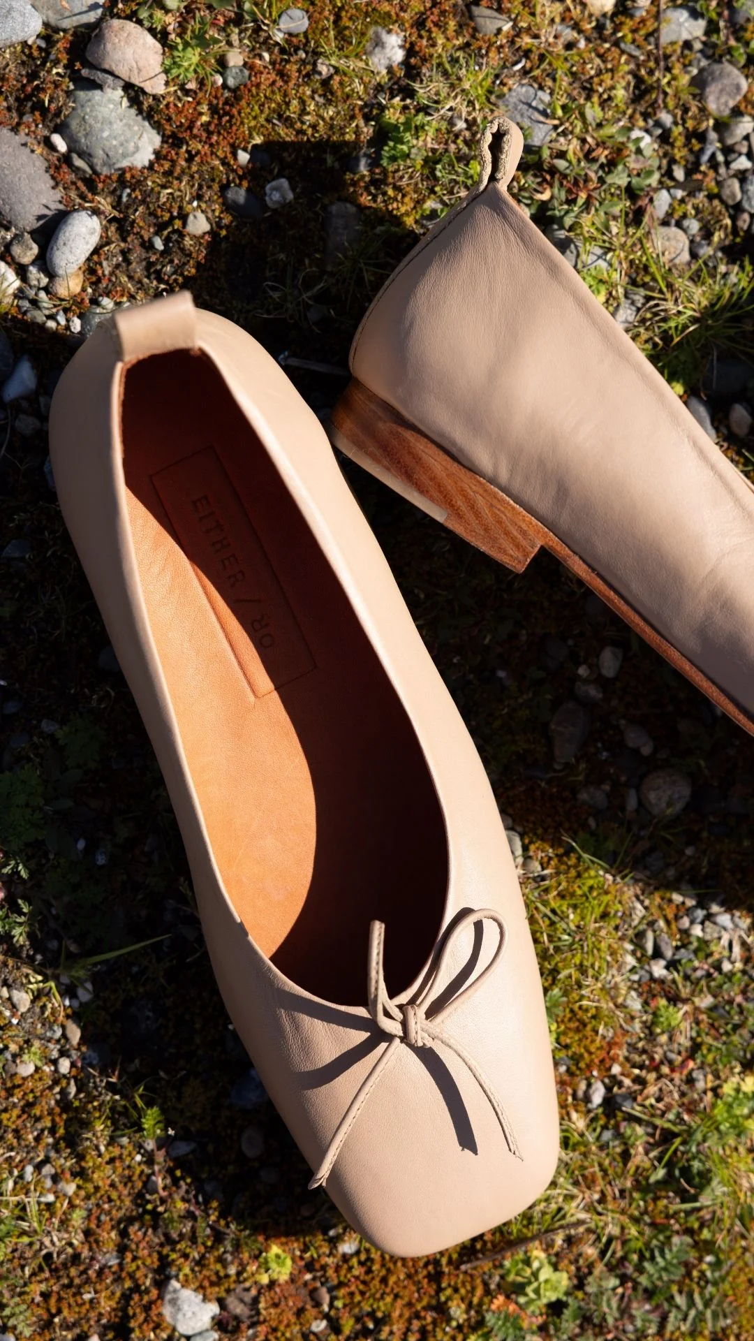 The Demi Ballet [Clay] - Image 4