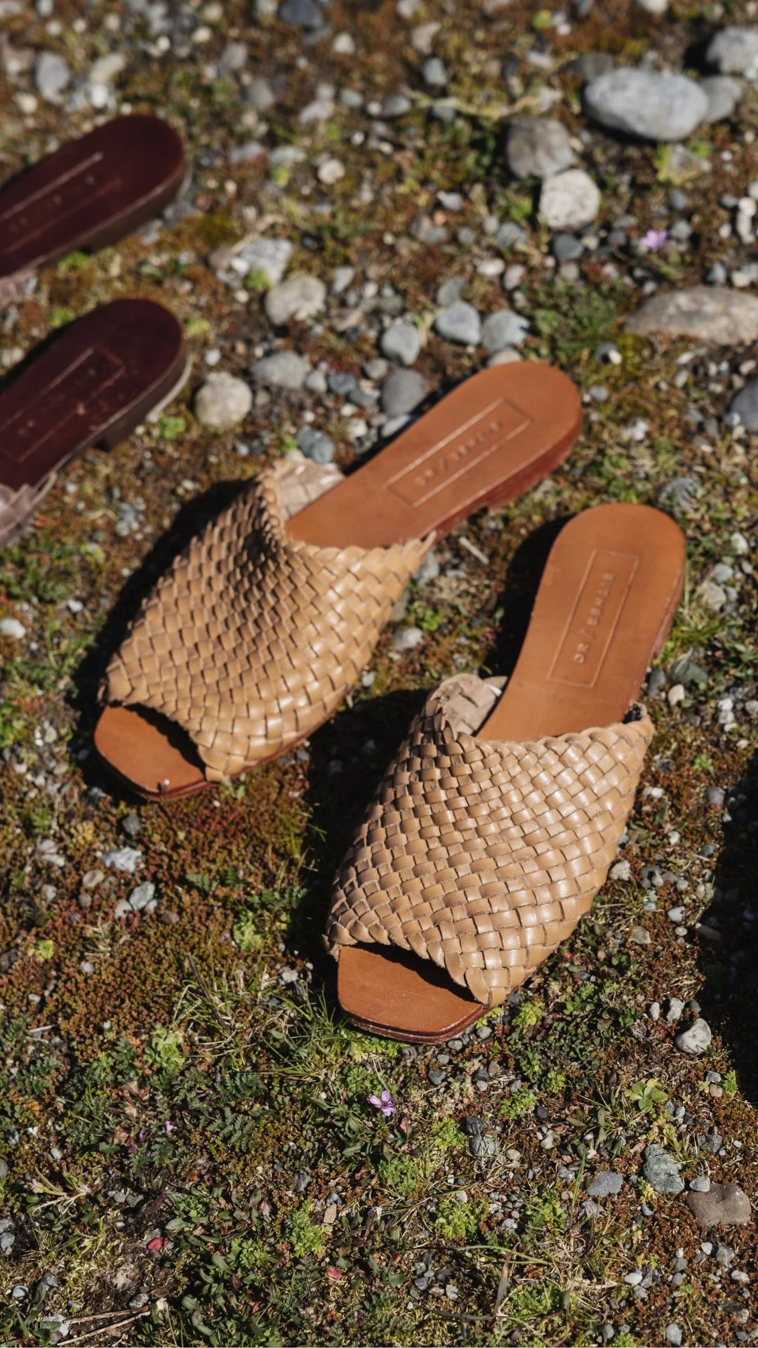 The Woven Slide [Miel] - Image 4